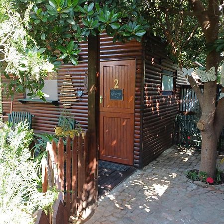 Owl'S Den 2 Apartment Oudtshoorn Exterior photo
