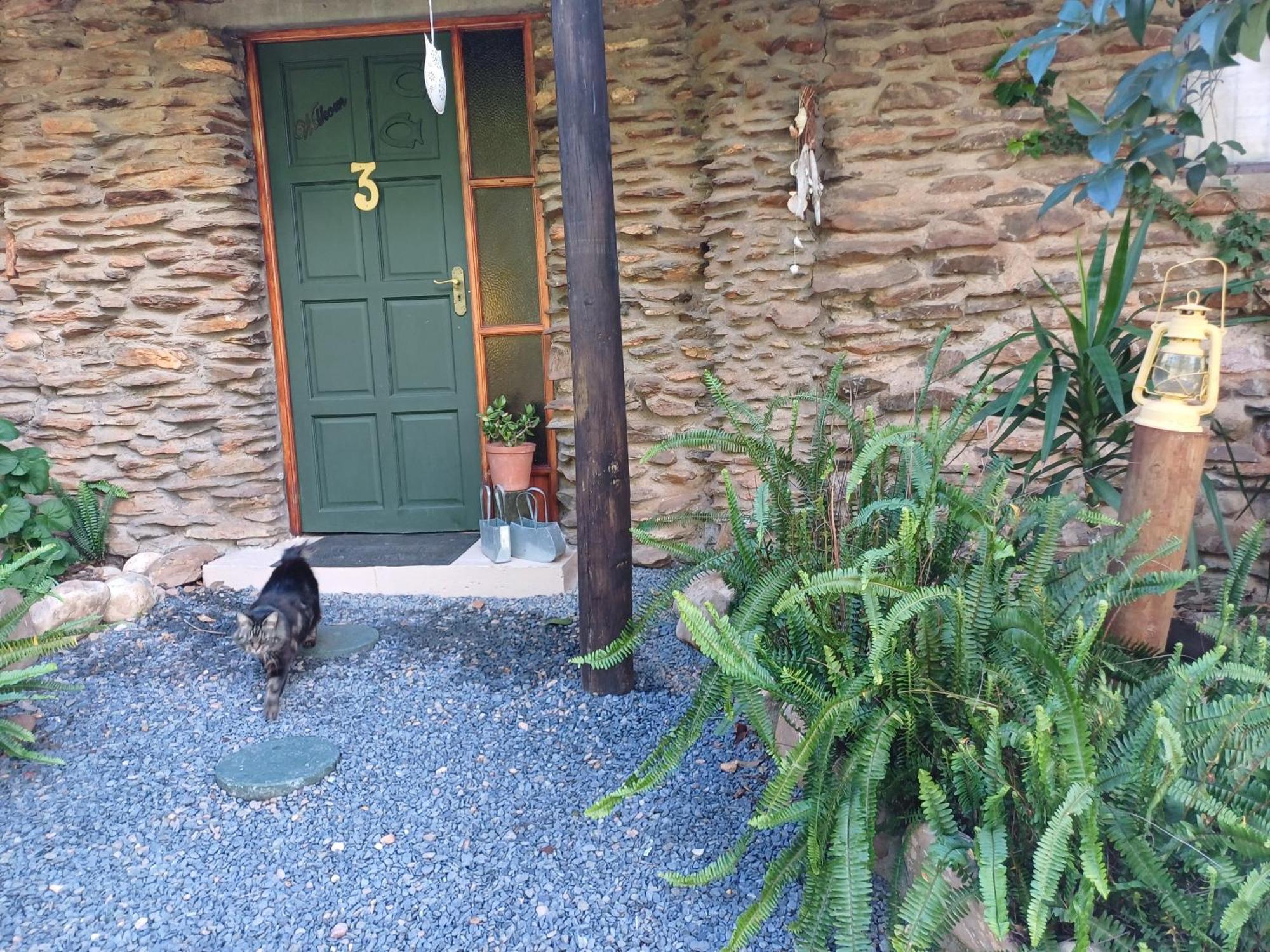 Owl'S Den 2 Apartment Oudtshoorn Exterior photo