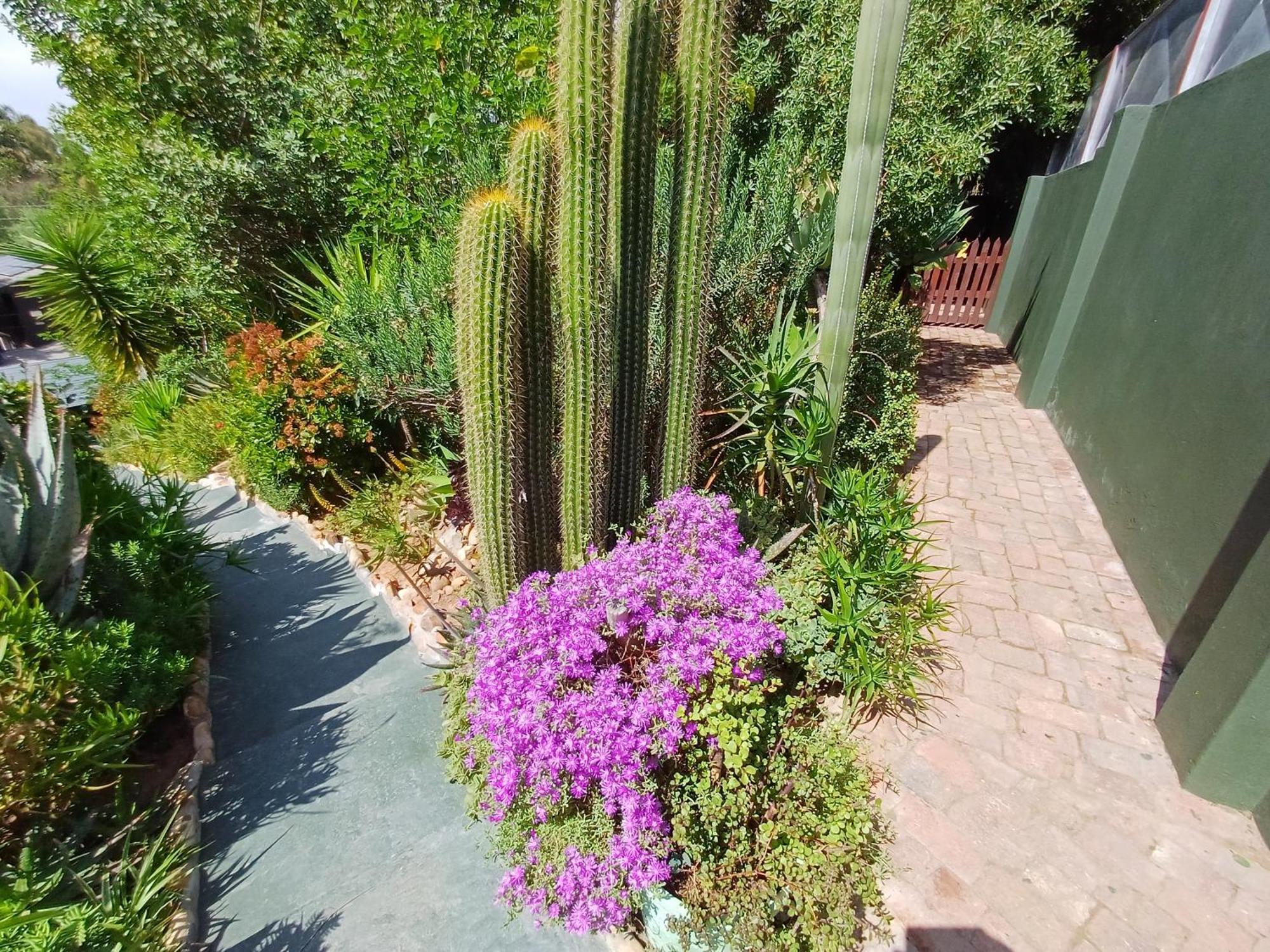 Owl'S Den 2 Apartment Oudtshoorn Exterior photo