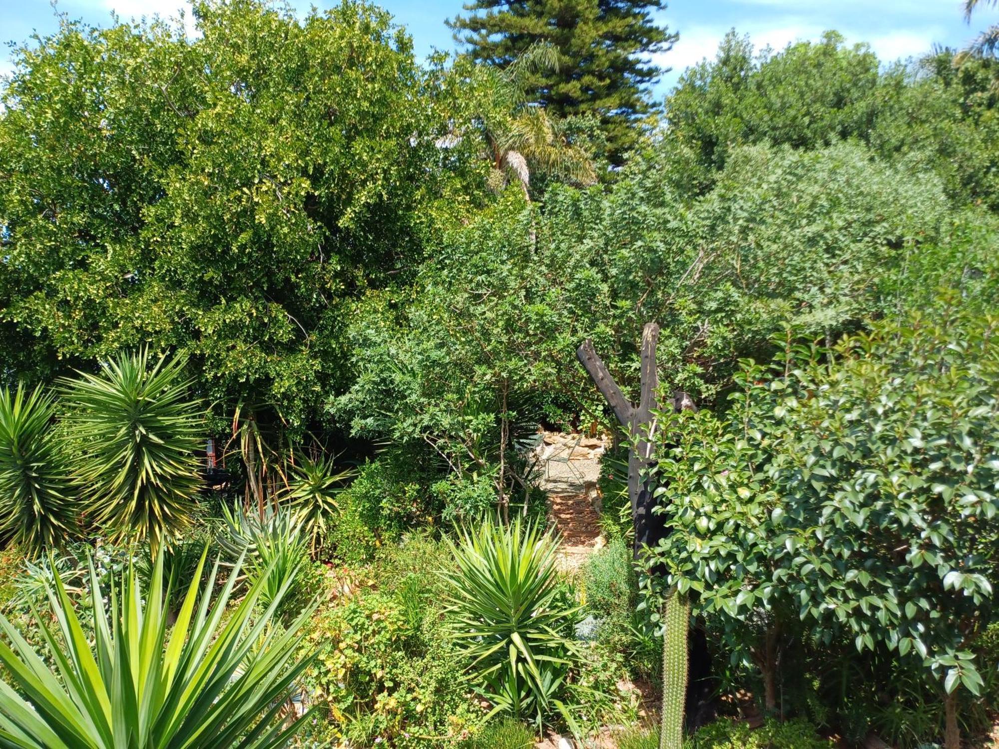 Owl'S Den 2 Apartment Oudtshoorn Exterior photo