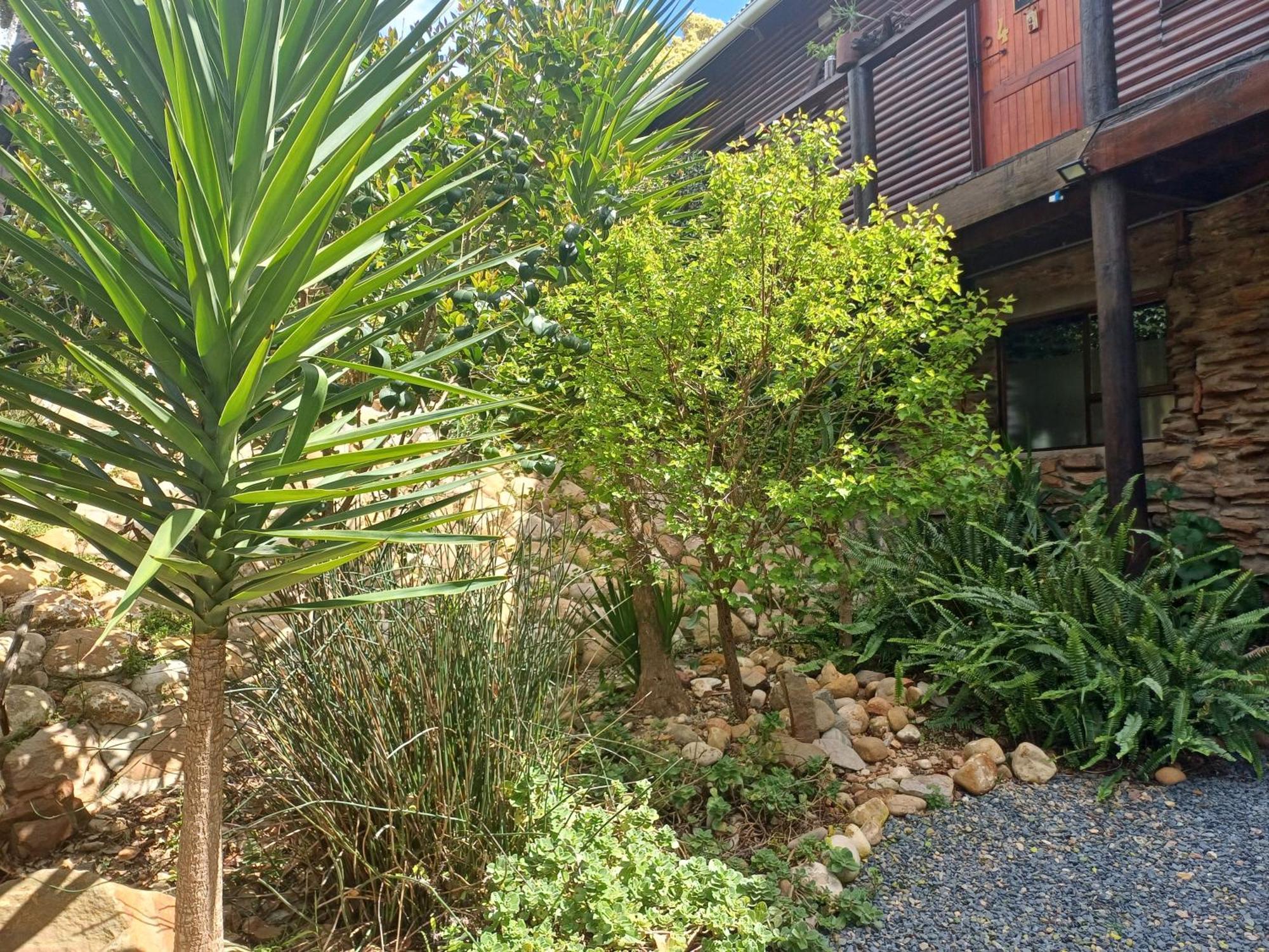 Owl'S Den 2 Apartment Oudtshoorn Exterior photo